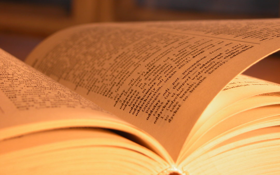 4 livros para quem quer aprender mais sobre Madeira